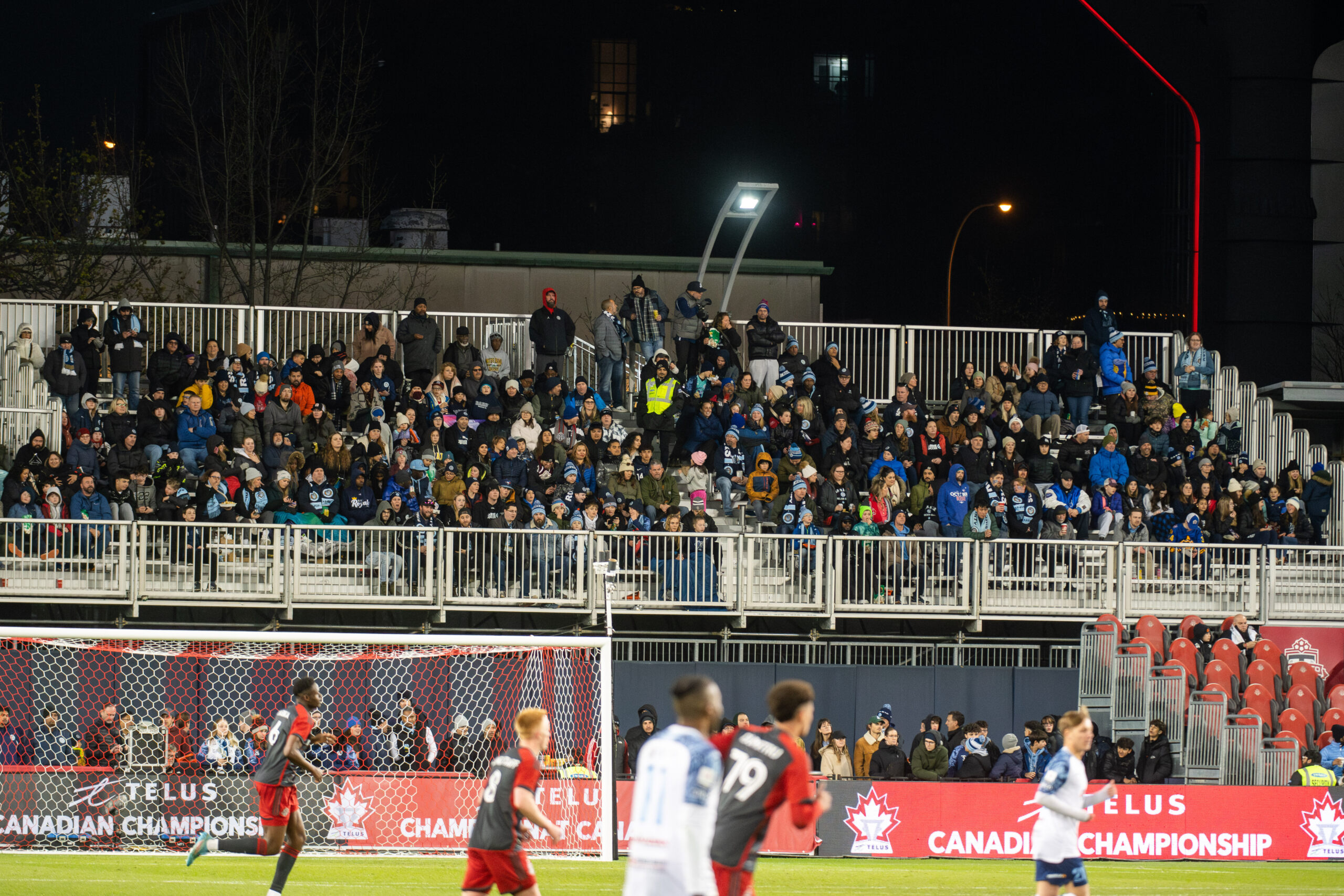 53679267776_93451b611e_o