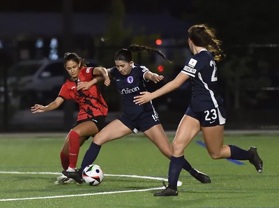 53757938591_8392fc93d3_w