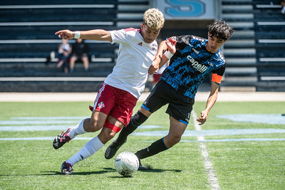 53793305022_cd1c9bf08d_w