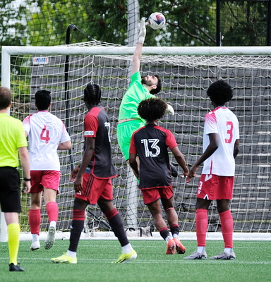 53856097934_a8e48fda40_w