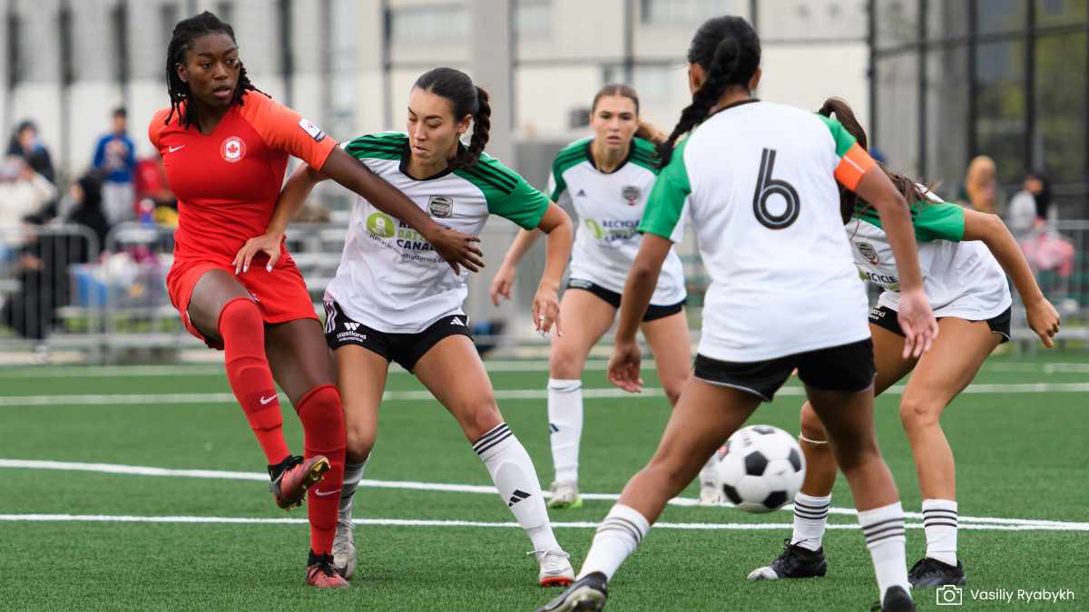 ndc and north toronto battle