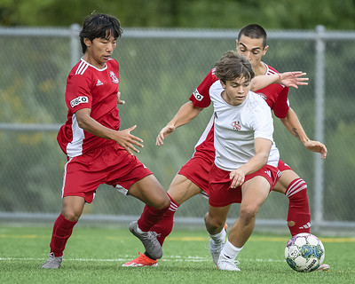 53919683394_2b2a30c25e_w