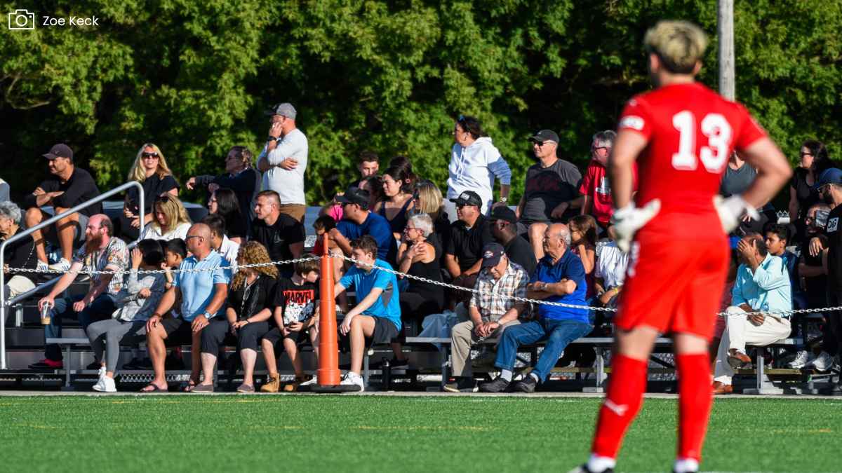 Fans watching soccer match